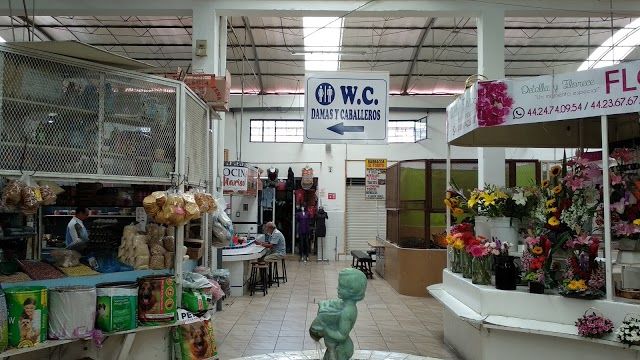 Mercado Hidalgo